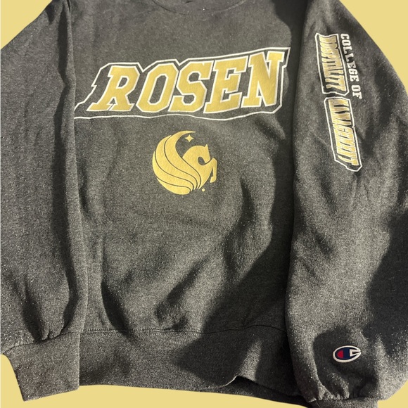 Champion Eco Fleece Sweatshirt in Dark Gray - Picture 1 of 6